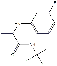 N-tert-butyl-2-[(3-fluorophenyl)amino]propanamide Struktur