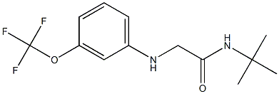 N-tert-butyl-2-{[3-(trifluoromethoxy)phenyl]amino}acetamide 结构式