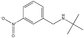 tert-butyl[(3-nitrophenyl)methyl]amine