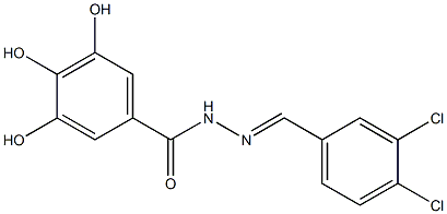 N'-(3,4-dichlorobenzylidene)-3,4,5-trihydroxybenzohydrazide 结构式