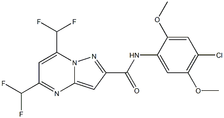 N-(4-chloro-2,5-dimethoxyphenyl)-5,7-bis(difluoromethyl)pyrazolo[1,5-a]pyrimidine-2-carboxamide Struktur