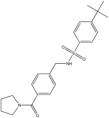 4-tert-butyl-N-[4-(1-pyrrolidinylcarbonyl)benzyl]benzenesulfonamide 结构式