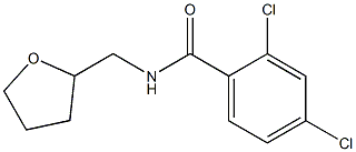 2,4-dichloro-N-(tetrahydro-2-furanylmethyl)benzamide 化学構造式