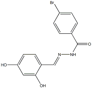 4-bromo-N'-[(E)-(2,4-dihydroxyphenyl)methylidene]benzohydrazide Structure