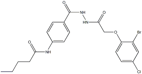  化学構造式