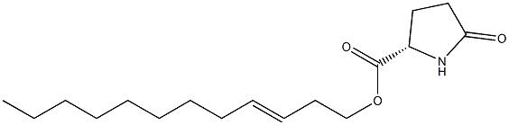 (S)-5-オキソピロリジン-2-カルボン酸3-ドデセニル 化学構造式