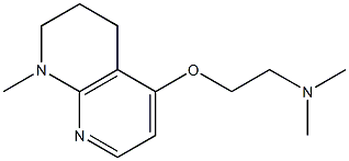 1,2,3,4-テトラヒドロ-5-[2-(ジメチルアミノ)エトキシ]-1-メチル-1,8-ナフチリジン 化学構造式