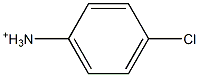 4-Chlorobenzenaminium Structure