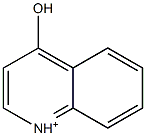 4-Hydroxyquinolinium Struktur