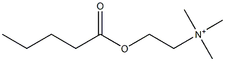 2-Pentanoyloxy-N,N,N-trimethylethanaminium