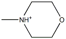 4-Methyl-4-azoniamorpholine Struktur