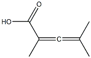 2,4-Dimethyl-2,3-pentadienoic acid 结构式