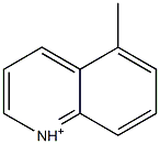 5-Methylquinolinium Struktur