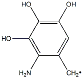 2-Aminoallylradical