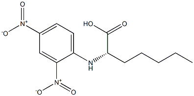 (S)-2-[(2,4-Dinitrophenyl)amino]heptanoic acid Structure