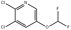 2,3-Dichloro-5-difluoromethoxypyridine 结构式