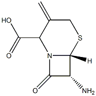 (6R,7R)-7-Amino-3-methylene-8-oxo-5-thia-1-azabicyclo[4.2.0]octane-2-carboxylic acid Structure