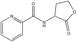 N-(2-Oxotetrahydrofuran-3-yl)-2-pyridinecarboxamide Structure