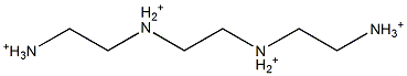 N,N''-Ethylenebis(1,2-ethanediaminium),,结构式