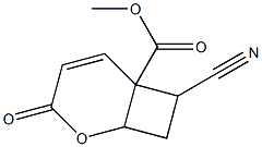 7-Cyano-3-oxo-2-oxabicyclo[4.2.0]oct-4-ene-6-carboxylic acid methyl ester Struktur