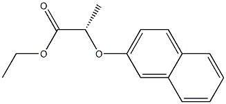 [S,(-)]-2-(2-Naphtyloxy)propionic acid ethyl ester Struktur