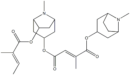 2-Methyl-2-butenedioic acid 1-(8-methyl-8-azabicyclo[3.2.1]octan-3-yl)4-[8-methyl-6-[(2-methyl-1-oxo-2-butenyl)oxy]-8-azabicyclo[3.2.1]octan-3-yl] ester 结构式