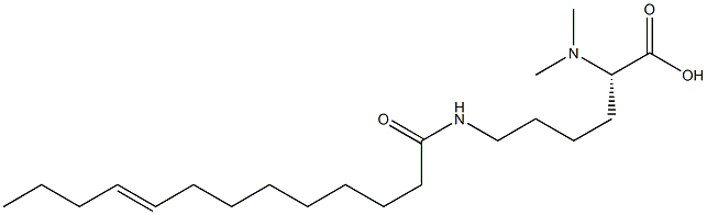 N6-(9-トリデセノイル)-N2,N2-ジメチルリシン 化学構造式