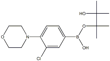3-Chloro-4-morpholinophenylboronic Acid Pinacol Ester Struktur