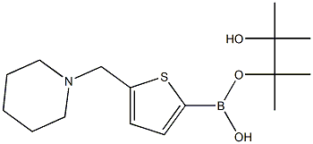 5-(Piperidinomethyl)-2-thiopheneboronic acid pinacol ester