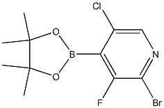 2-Bromo-5-chloro-3-fluoro-4-(4,4,5,5-tetramethyl-1,3,2-dioxaborolan-2-yl)pyridine,,结构式