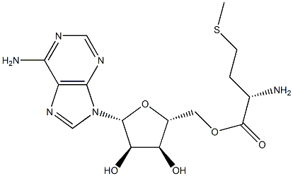 Adenosine methionine Structure