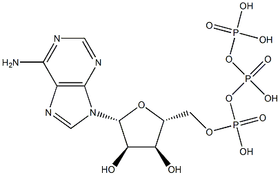 三磷酸腺苷溶液(ATP,10MMOL/L), , 结构式