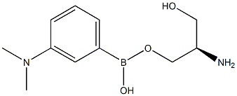 3-(N,N-dimethylamino)phenylboronic acid sterol ester