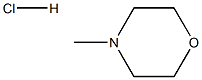 N-methylmorpholine hydrochloride 化学構造式