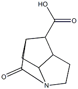 (hexahydro-5-oxo-1H-pyrrolizinyl-1-yl)acetic acid,,结构式