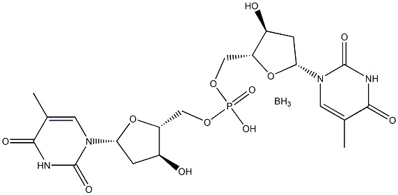 dithymidine boranomonophosphate