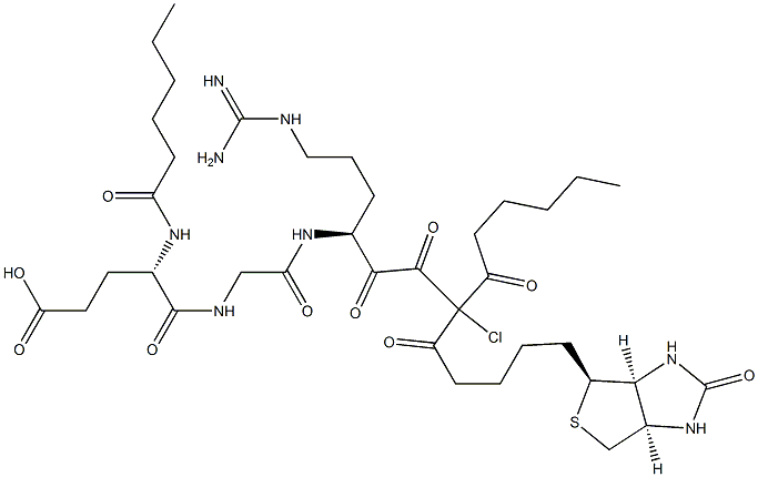 biotinyldicaproyl-glutamyl-glycyl-arginyl-chloromethylketone Structure
