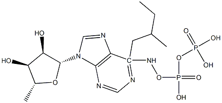 N(6)-(2-methylbutyl)adenosine diphosphate 化学構造式
