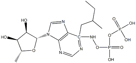  化学構造式