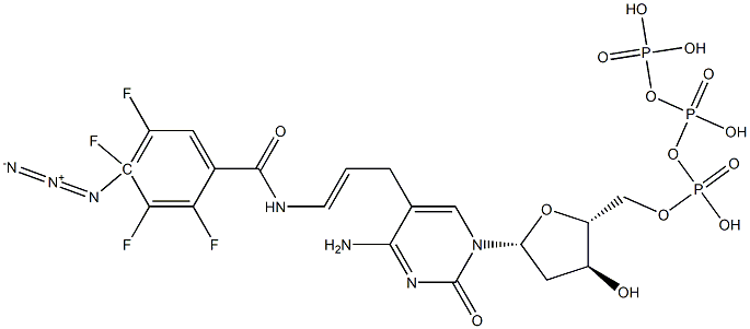 5-(3-(4-azidotetrafluorobenzamido)allyl)-2'-deoxycytidine-5'-triphosphate,,结构式