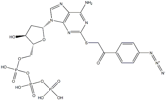 2-((4-azidophenacyl)thio)-2'-deoxyadenosine 5'-triphosphate