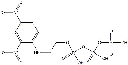 2-((2,4-dinitrophenyl)amino)ethyl triphosphate 化学構造式