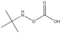 tert-butylaminocarbonate 化学構造式