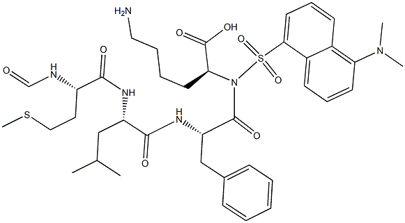  化学構造式