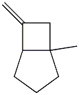 1-methyl-6-methylidene-bicyclo[3.2.0]heptane