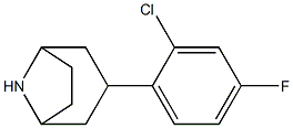 3-(2-chloro-4-fluorophenyl)-8-azabicyclo[3.2.1]octane