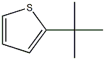 2-(1,1-dimethylethyl)thiophene