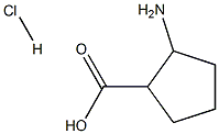 2-Amino-cyclopentanecarboxylic acid HCl