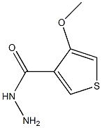 4-METHOXYTHIOPHENE-3-CARBOXYLIC ACIDHYDRAZIDE Struktur