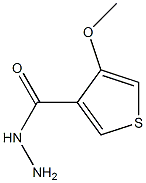 4-METHOXYTHIOPHENE-3-CARBOXYLIC ACIDHYDRAZIDE 化学構造式